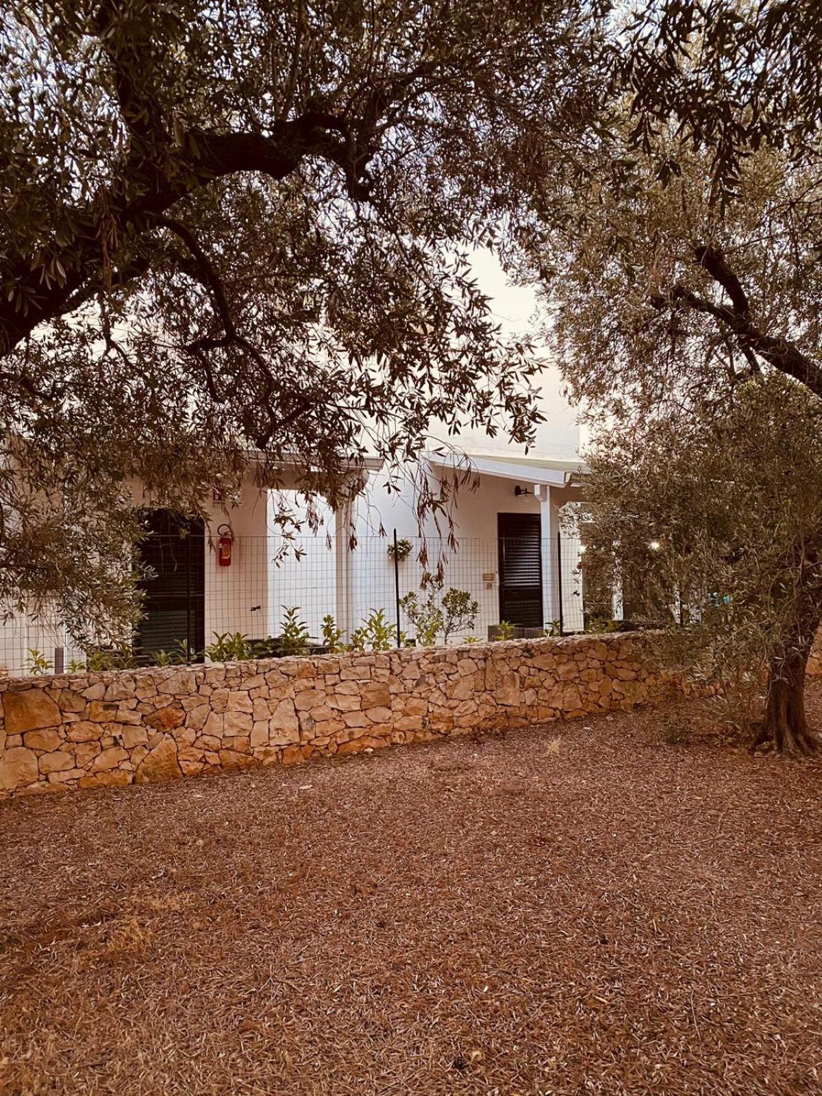 B&B Quasimare Porto Cesareo Dış mekan fotoğraf